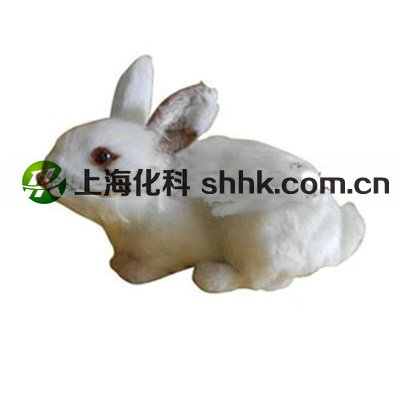 43152兔外形標本（小學科學）