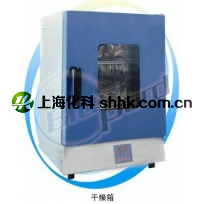 電熱干燥箱DHG-9091A