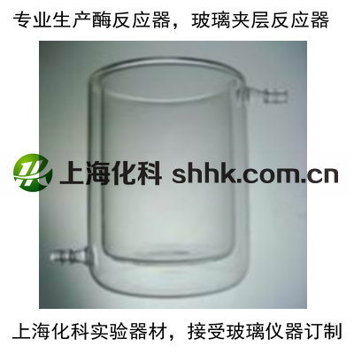 玻璃雙層酶反應器，玻璃夾層酶反應器，玻璃夾套燒杯，夾層反應器